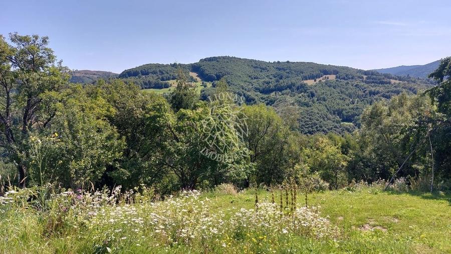 Teren extravilan investiție Rachitele Cluj - 31.555 mp - 7