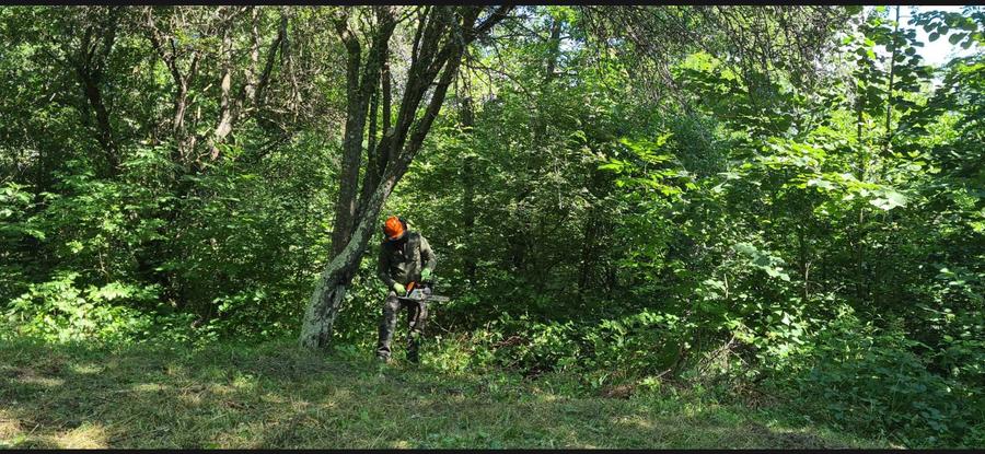 Teren intravilan 4.281 mp la munte, cu deschidere de 66ml si priveliste - 5