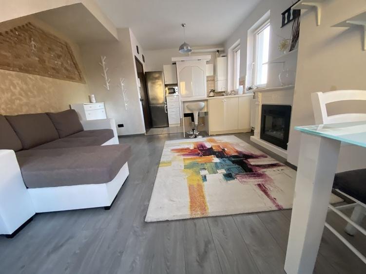 Cochet la intrare in Dumbravita - 17