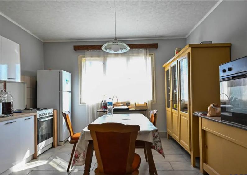 FILM! Complex agrozootehnic cu traditie, echipat,pretios pot - 8