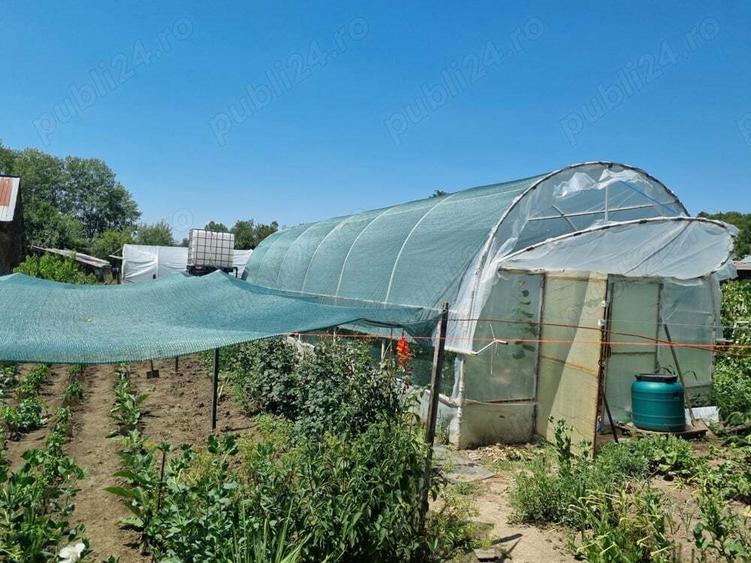 Casa Comuna Cernatesti Sat Corni?a - 7