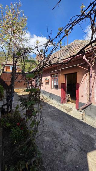 Vand casa in comuna Micasasa jud. Sibiu - 1
