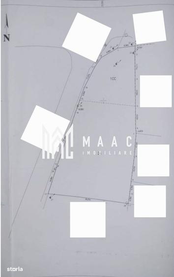 Teren intravilan 2158 mp | Goranu | Calea Bucuresti | Deschidere strad - 2