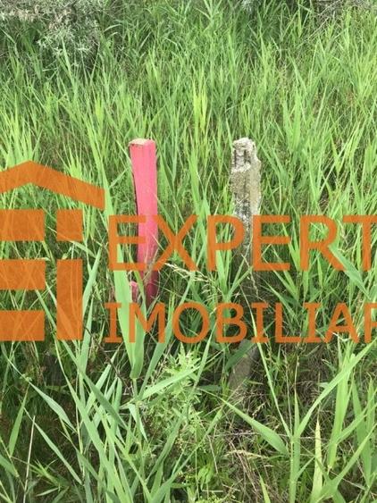 teren situat in Mamaia Nord - zona Club NAUTIC, aproape de Promenada - 9