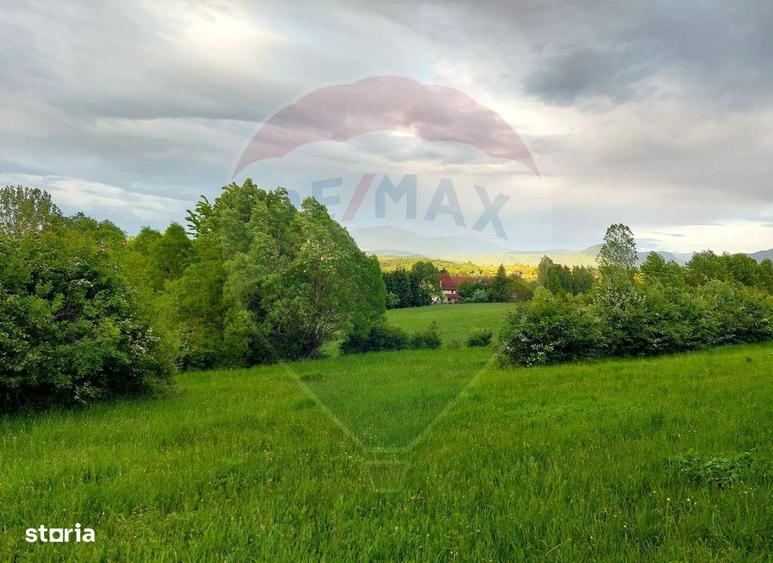 Teren Bran-Zarnesti - Tohanita, 4223mp - 4