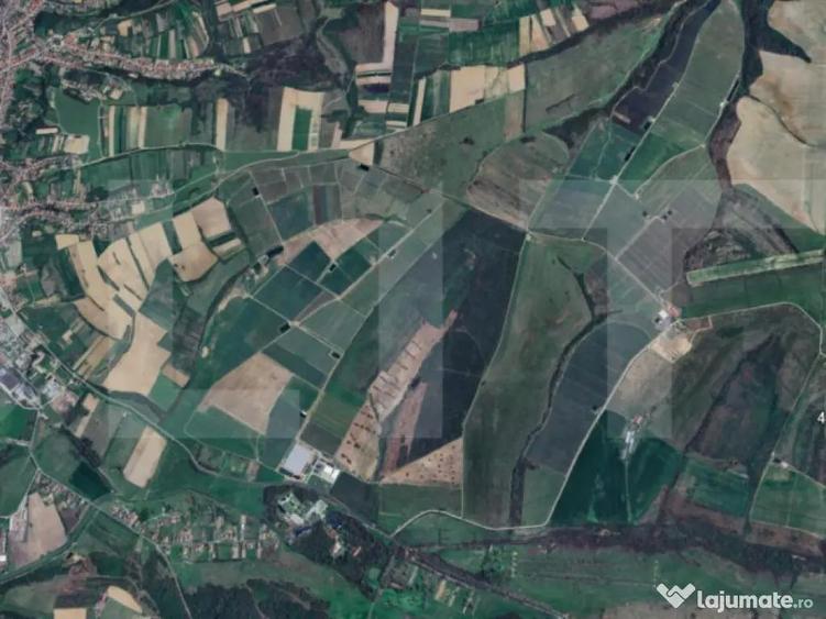 Teren extravilan 4,5ha Lipova - 2