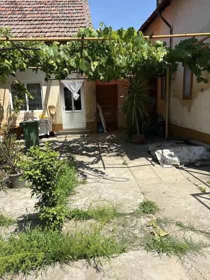 Vand casa Bulgarus! - 5