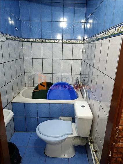 Camera de camin zona Dragaica - 7