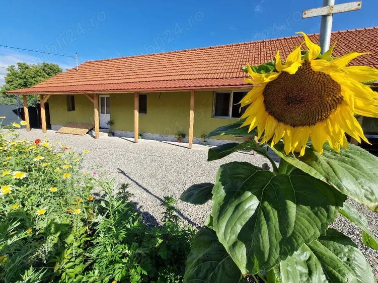 Casa de vanzare Vama Buzaului - 1