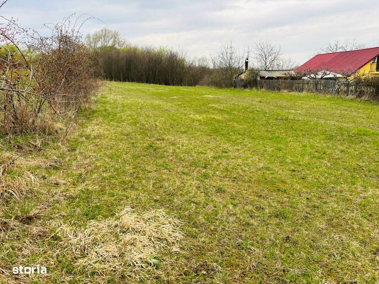 Teren intravilan Nicolae Corches/zona Buna Ziua - 3