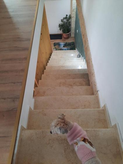 FARA COMISIOANE Tartasesti aproape de asfalt casa  5 camere 3 bai P+1+pod garaj - 26