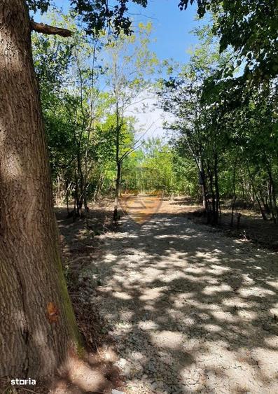 Teren 5526mp, intravilan, Jupiter, 2 deschideri drum si alee carosabil - 5