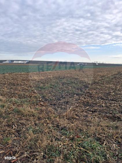 Teren intravilan 3400mp de vanzare la Santion - 3