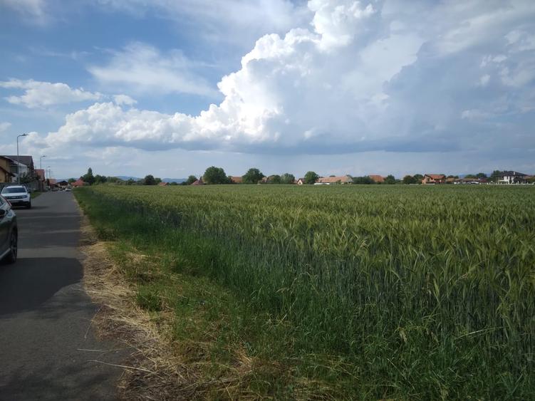 Teren 628mp in Stupini str.Augustin Tătaru  pretabil case/sedii firma - 3