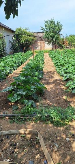 Urgent casa in Targoviste str.Sarbilor - 18