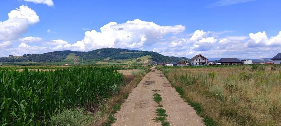 Teren parcelabil , Harman - Zona Aleea 14 - 2