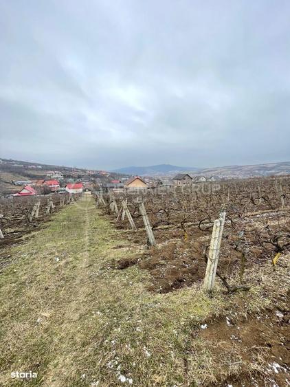 Teren ideal pentru dezvoltare 4.209mp, Chicerea, Comuna Tomesti - 5