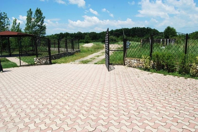 INVESTITIE!Imobil P+1,8 camere 380mp,teren 1629mp +crama superba+foisor - 4