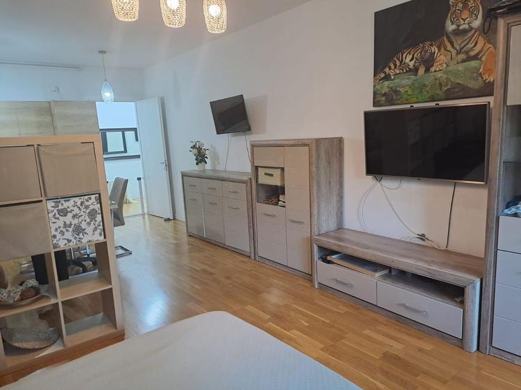 De inchiriat Apartament cu o camera Erou Iancu Nicolae - 3