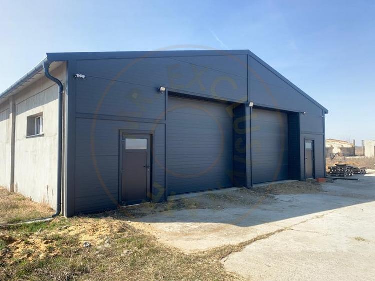 De Vanzare Ferma Piscolt Teren 64.000 mp- Piscolt SM - Comision 0% cumparator - 7