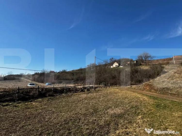 Teren extravilan 3100 mp cu ie?ire la raul Mure? - 1