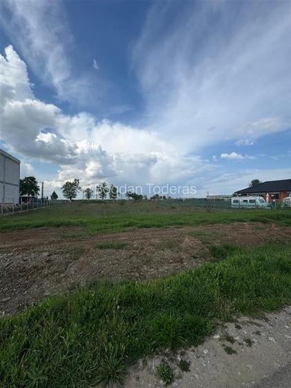 Teren Construcții intravilan de 800 mp, în Gepiu Teren Construcții intravilan de 800 mp, în Gepiu