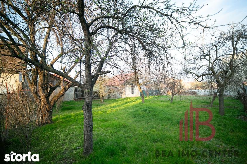 Casa solida pe un singur nivel ?i 1018 mp teren - 2