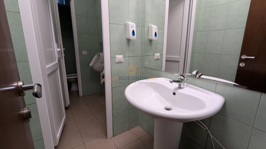 Cladire birouri D+P+4E si hala de productie, Dr.Lunca Cetatii, Sect.3 - 12