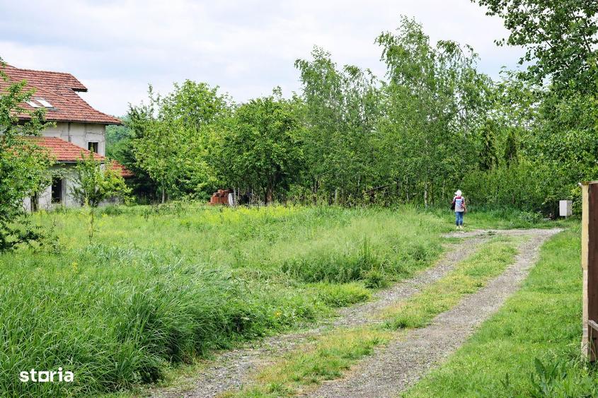 Teren Balotesti - 833 MP - Utilitati - Intravilan Constructii - Lac - 5