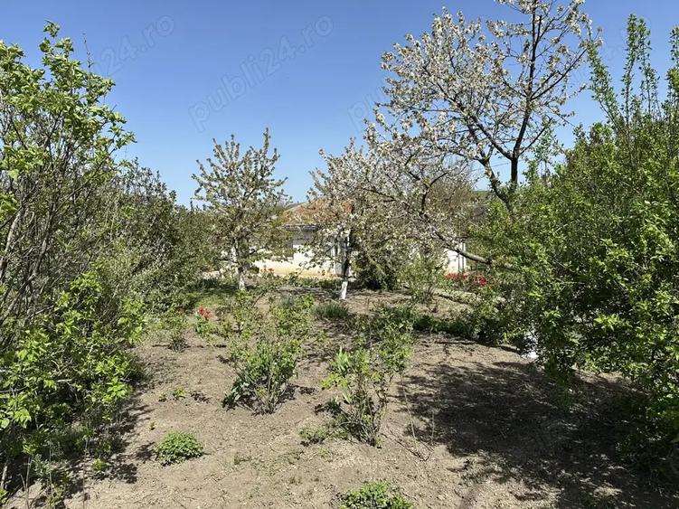 Casa cu 3 camere Zaicesti - 7