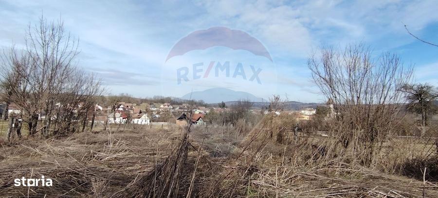 Casa cu 3 camere de vanzare in Chirpar - 1