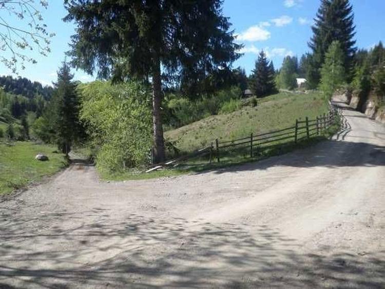 Vand 3000 mp teren intravilan + casuta de munte racordata la EON - 4