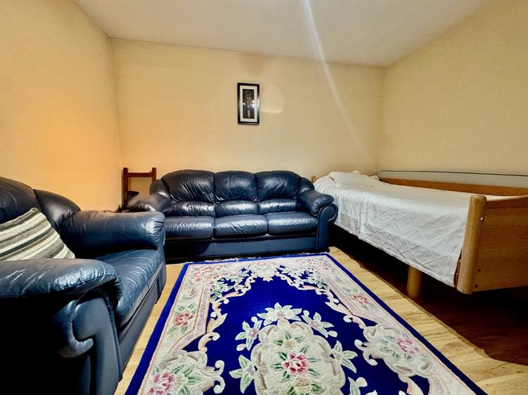 Casa individuala singura in curte, 947 mp teren, Viile Noi - 3