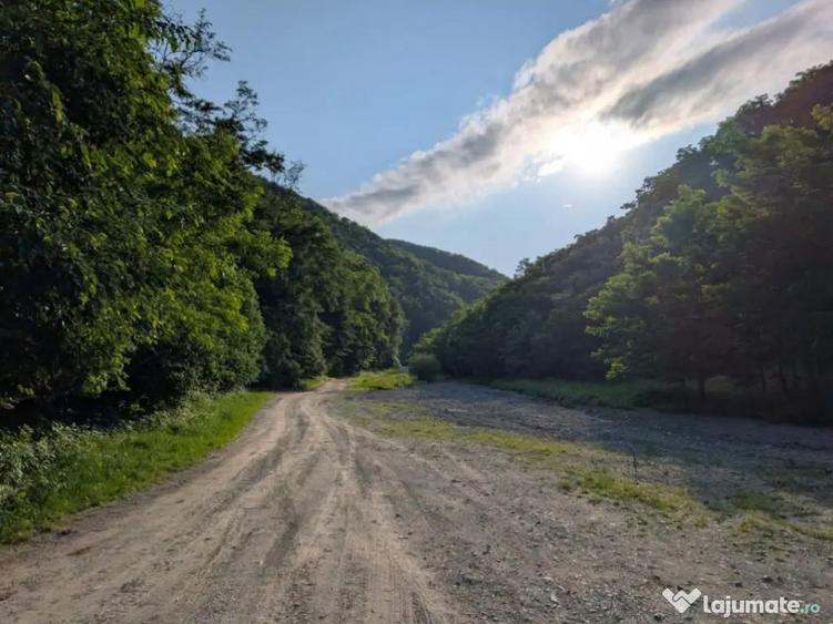 Sarata Bai- Oportunitate investi?ie- 4038 mp- priveli?te - 2