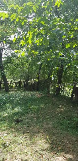 Teren intravilan de vanzare Comarnic, strada Podul Lung -Prahova - 3