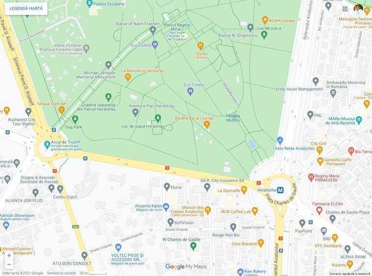 Exclusivitate, Teren/Casa Aviatorilor - Prezan, 300 mp - 4