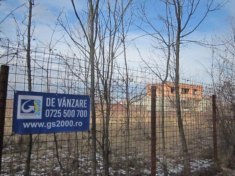 Domnesti-Teghes-Padure - 15