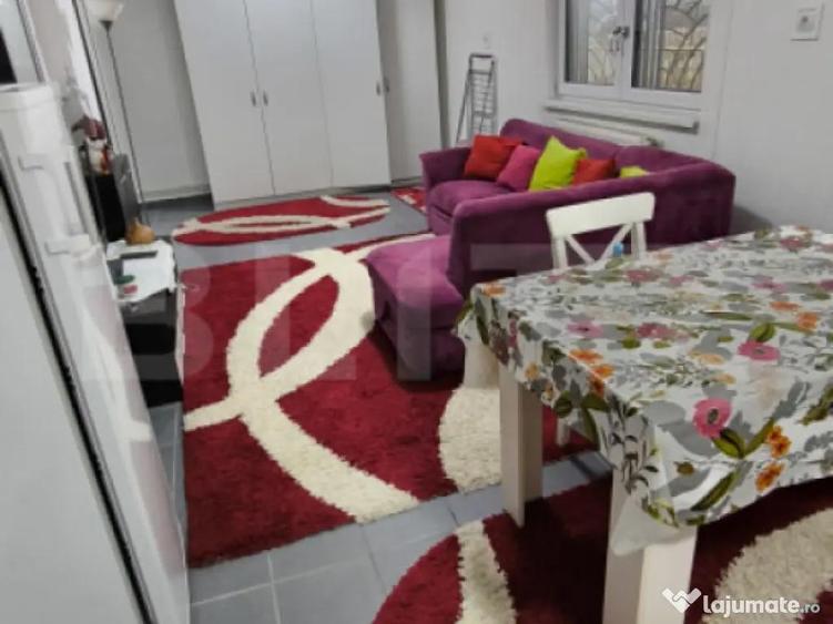 Apartament 3 camere, decomandat, ideal pentru spatiu comerci - 10