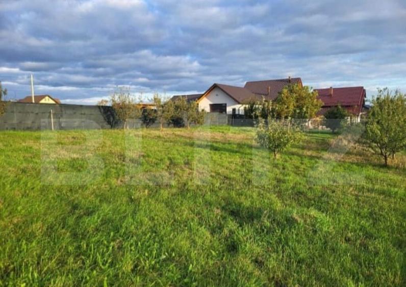 Oportunitate teren intravilan, 9 ari, zona Moara - 5