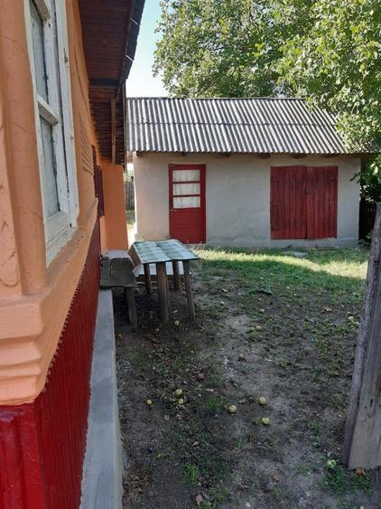 Casa de vanzare 6000 mp - 2