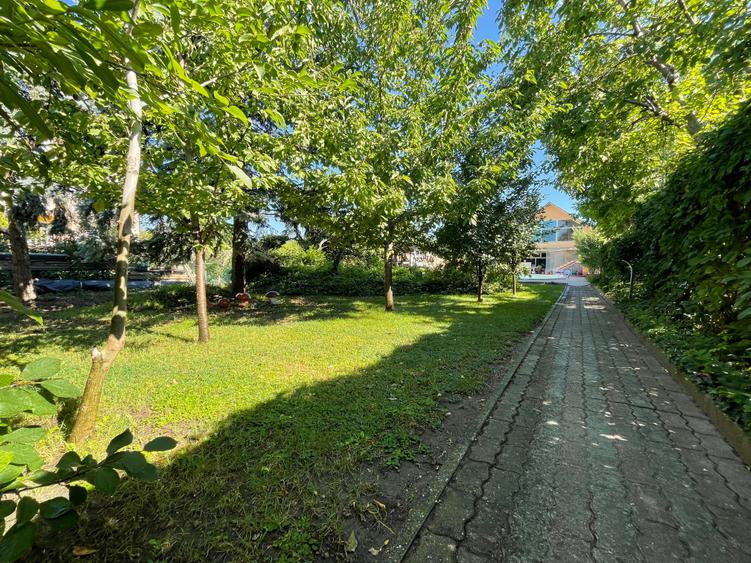 Vila Premium Lipovei Piscina Panouri solare 1180mp teren - 4