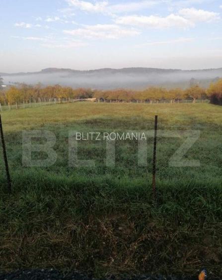 Teren intravilan 3600mp, Posmus