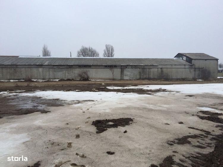 Hala zona Baldovinesti - 4