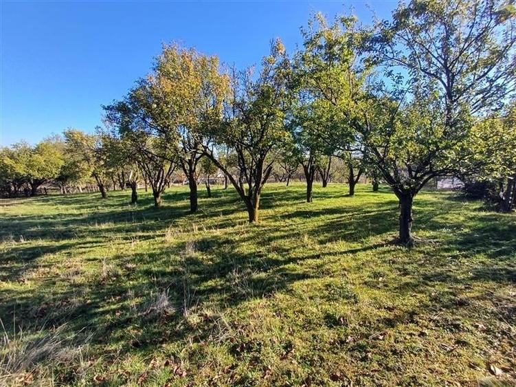 Teren de vanzare cu toate utilitatile la poarta - 1