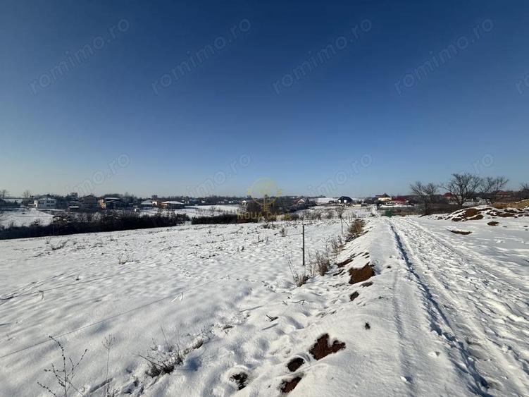 De vanzare Teren Intravilan Viile Satu Mare 1439 MP/ZONA FOARTE BUNA - 7