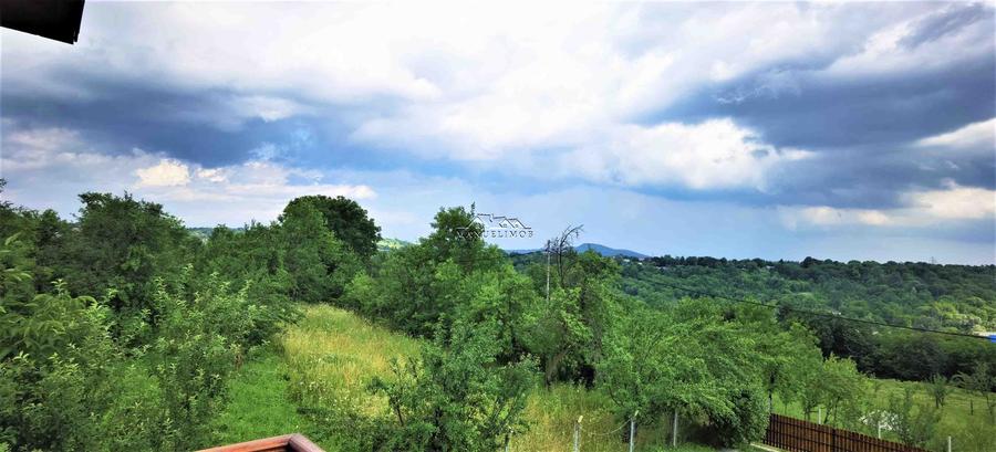 Manuel recomanda : Vila superba in Cornu de Jos 295mp , teren 1360mp - 28