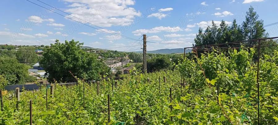 Casa de vannzare - 4