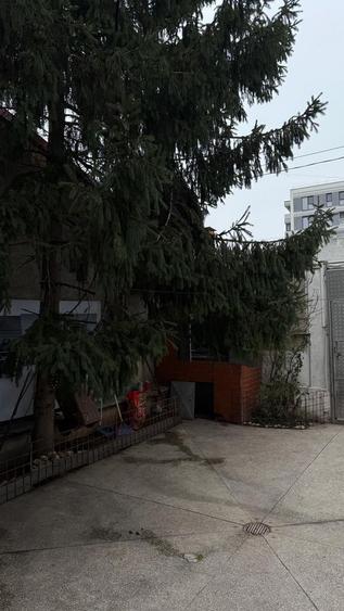 URGENT!, singur curte, constructie 1998, NEGOCIABIL - 4