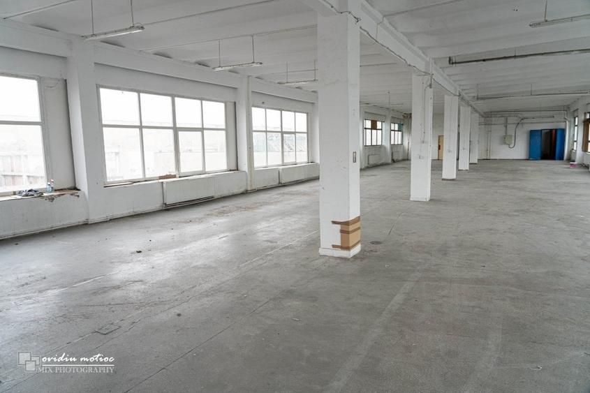 Spatiu luminos in P-ta 1 Mai - 5