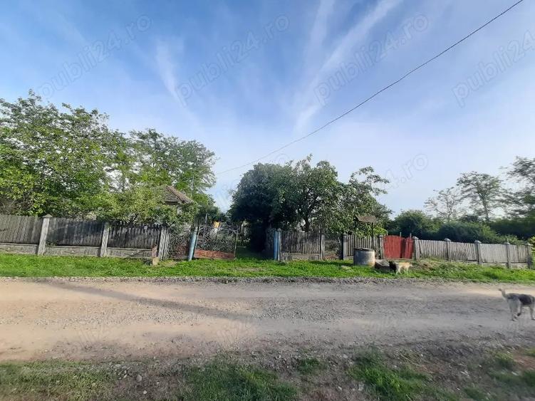 Casa batraneasca de vanzare - 3